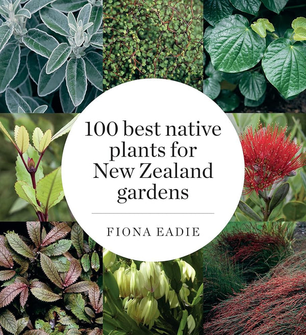 100 Best Native Plants for New Zealand Gardens - The Page and Prose Booksellers