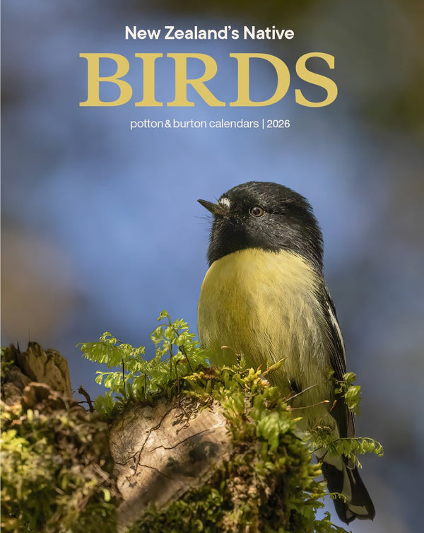 2026 New Zealand’s Native Birds Calendar - The Page and Prose Booksellers