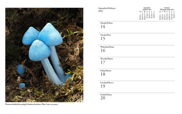 2026 Wilderness New Zealand Diary - The Page and Prose Booksellers