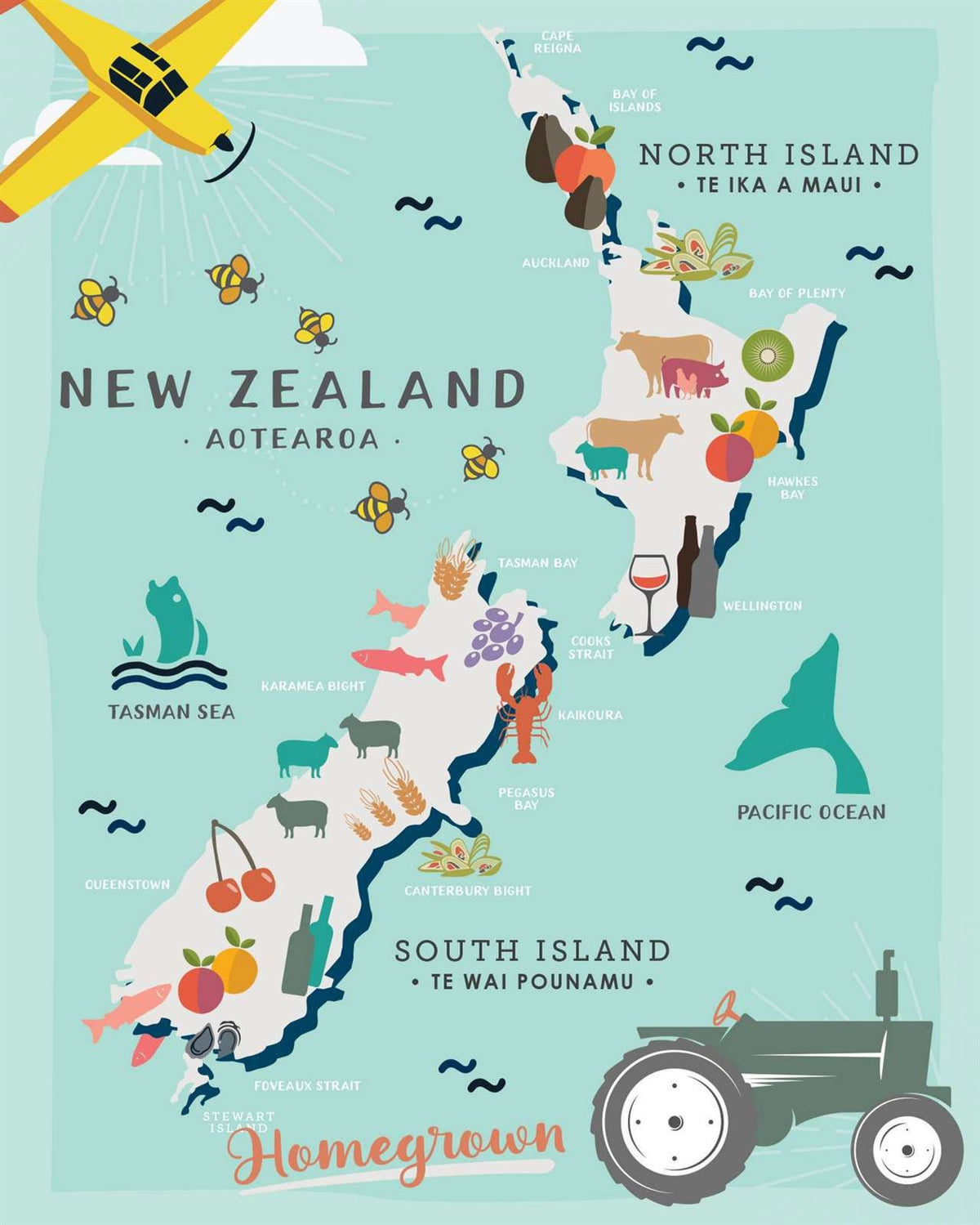 Lens Cloth: Homegrown Map of New Zealand