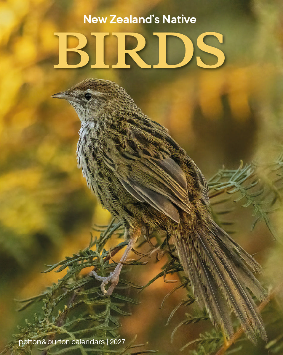 2027 NZ Birds Calendar