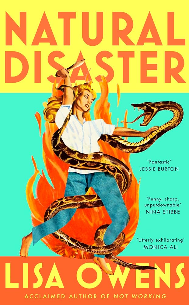 Natural Disaster: 'Mrs Dalloway meets Motherland' (The Times) in this hilariously relatable, sharply observed new novel from the author of NOT WORKING' cover image