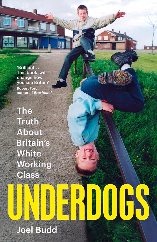 Underdogs: The Truth About Britain's White Working Class cover image