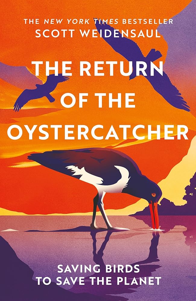 The Return of the Oystercatcher: Saving Birds to Save the Planet cover image