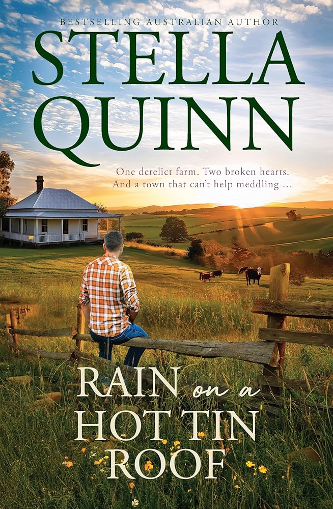 Rain on a Hot Tin Roof: A single dad and a town of matchmakers, 2026's funny new romance, perfect for readers of Karly Lane, from an award-winning and bestseller author cover image