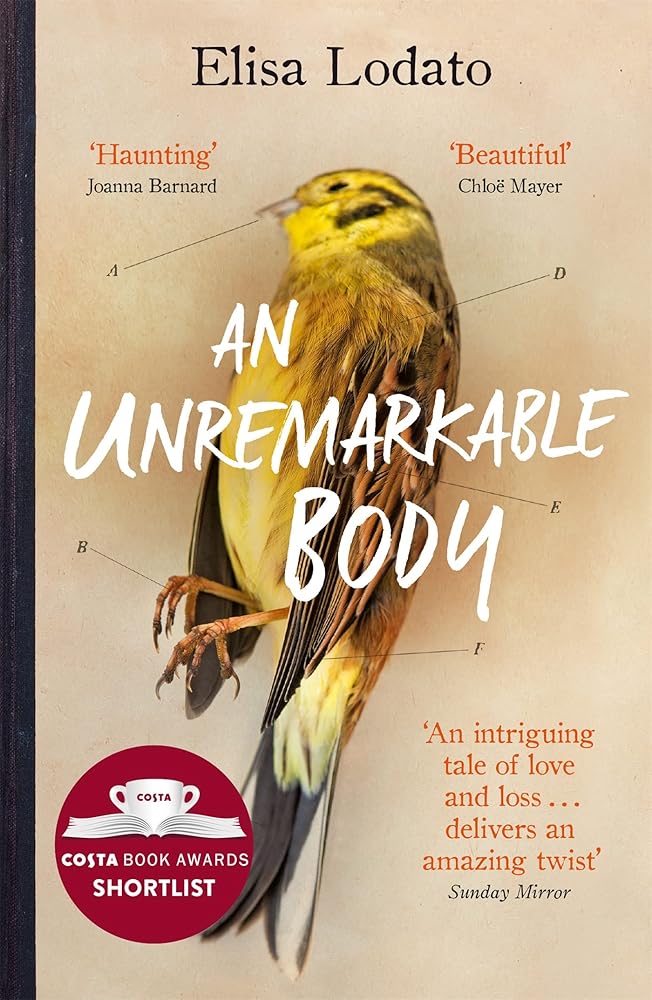 An Unremarkable Body cover image