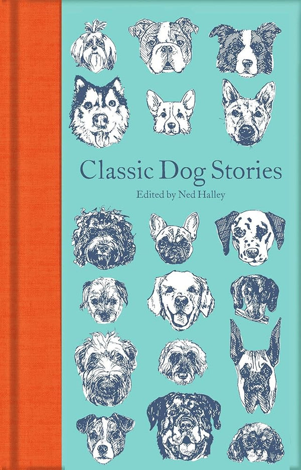 Classic Dog Stories (Macmillan Collector's Library) cover image