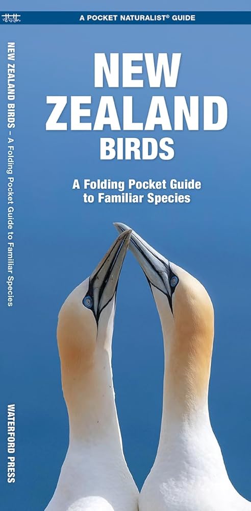 New Zealand Birds (Nature Observation International) cover image