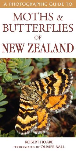 A Photographic Guide to Moths & Butterflies of New Zealand