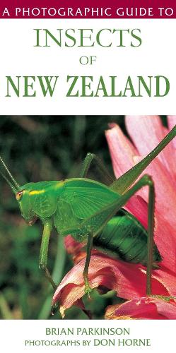 A Photographic Guide to Insects of New Zealand