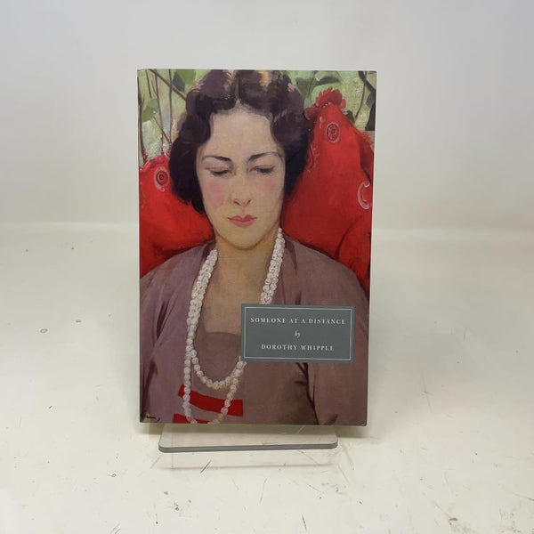 Someone at a Distance cover image