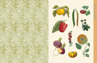 Botanical Art to Cut Out and Collage: Over 500 Botanical Illustrations to Inspire Creativity