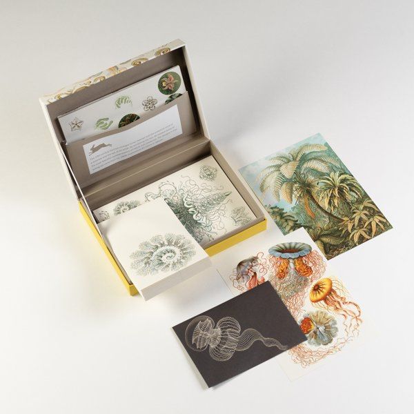 Pepin Letter Writing Set “Art Forms in Nature”