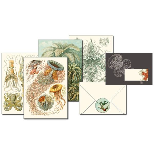 Pepin Letter Writing Set “Art Forms in Nature”