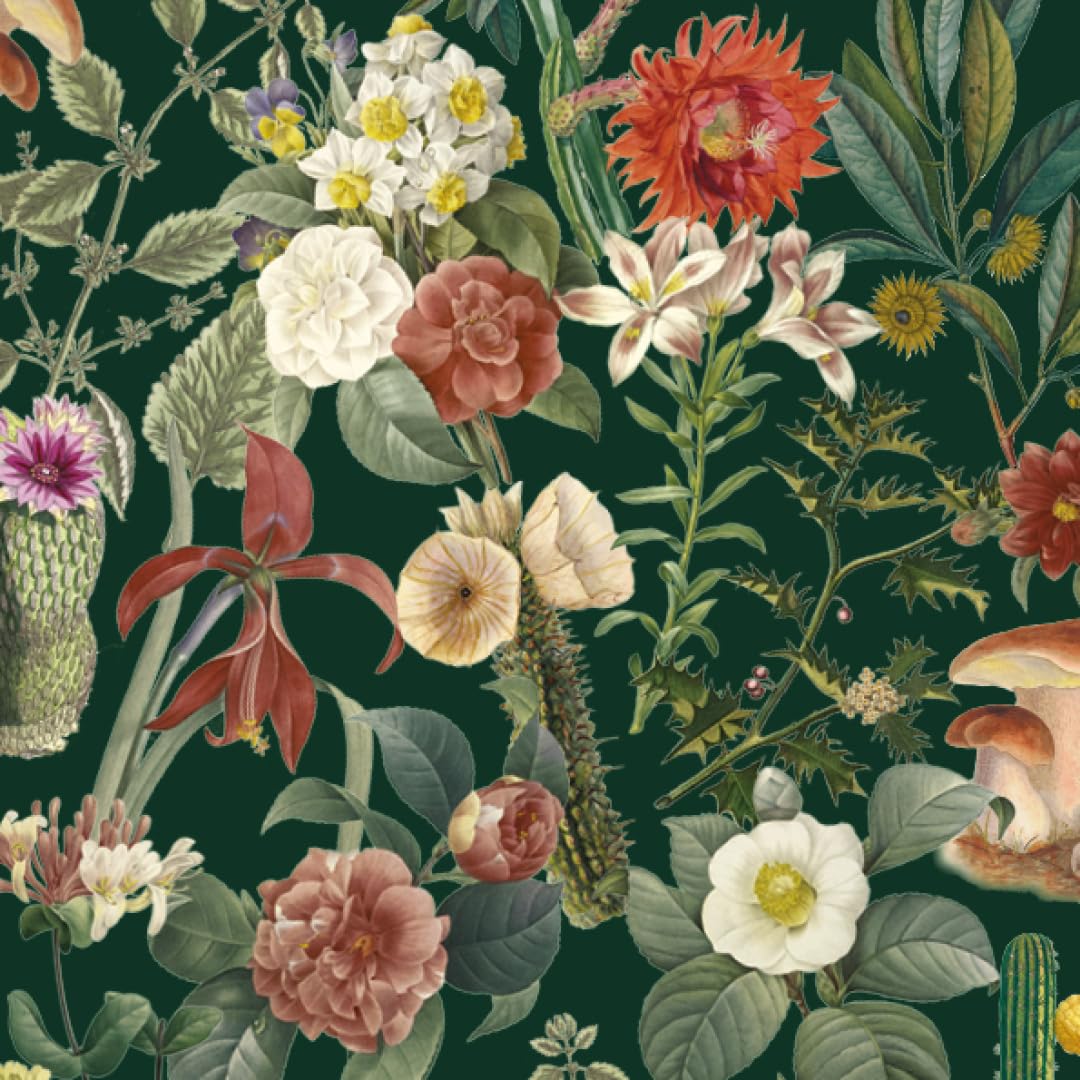 Botanical Art to Cut Out and Collage: Over 500 Botanical Illustrations to Inspire Creativity