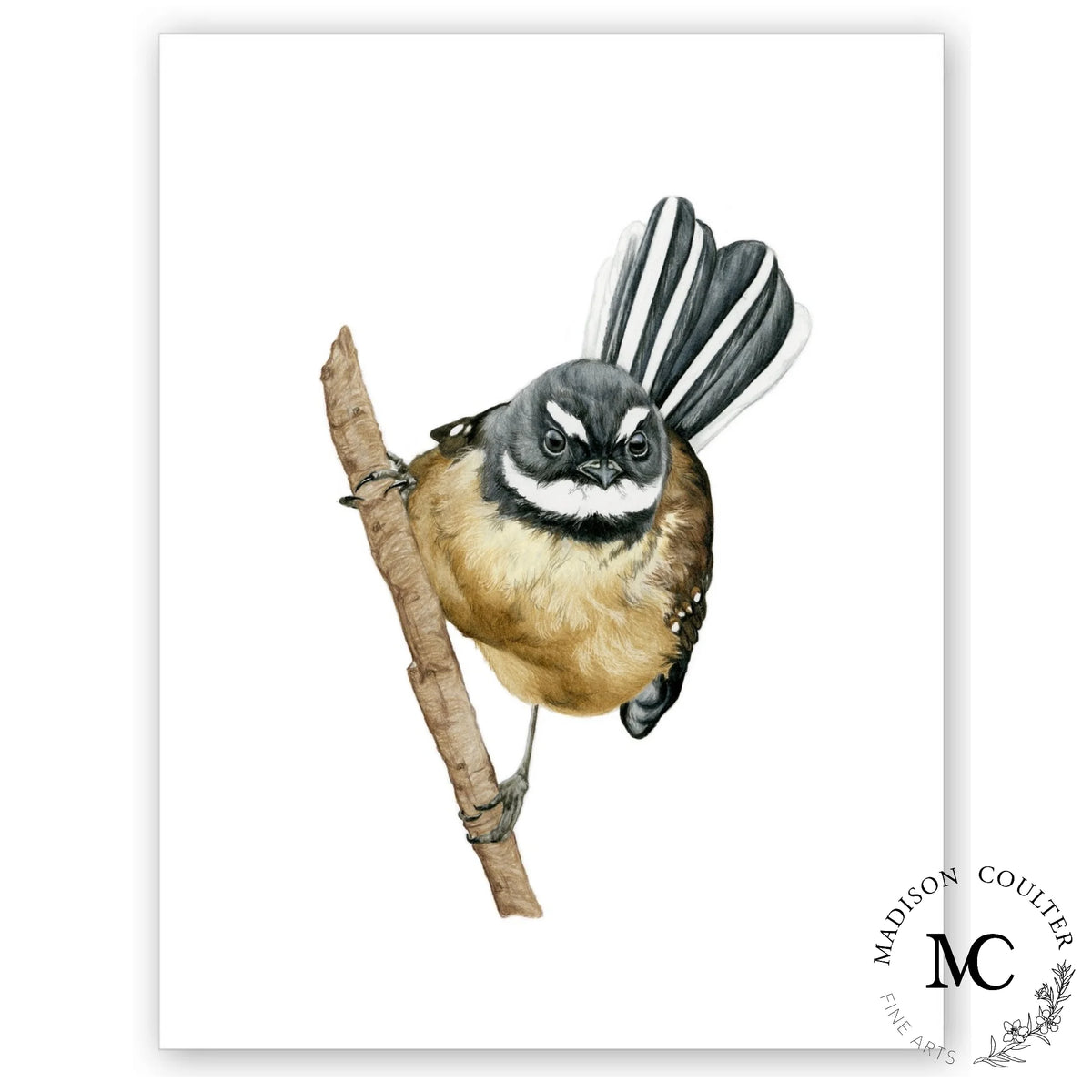 Fantail Print by Madison Coulter A4