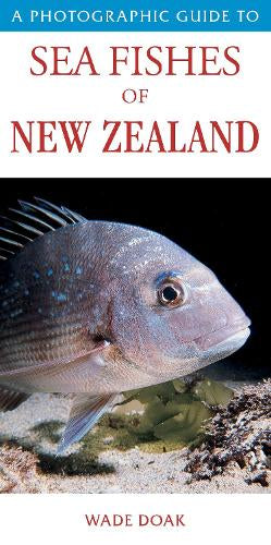 A Photographic Guide to Sea Fishes of New Zealand