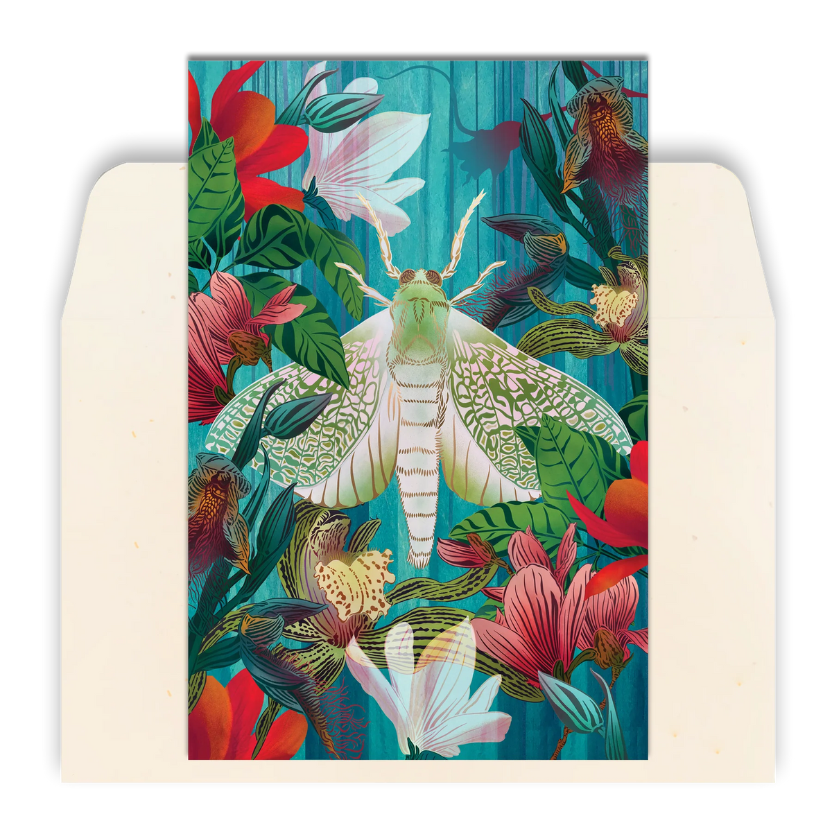 White Moth & Orchid Standard Greeting Card by Flox