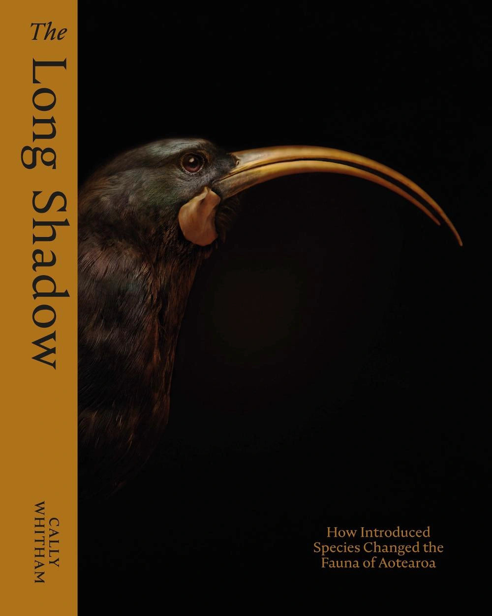 The Long Shadow: How Introduced Species Changed the Fauna of Aotearoa