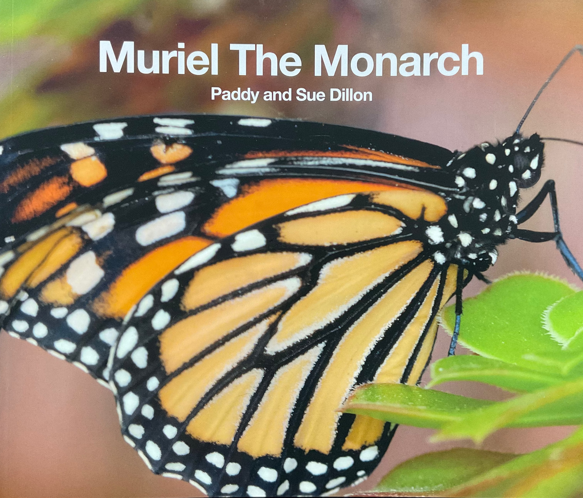 Muriel The Monarch