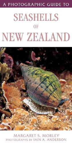 A Photographic Guide to Seashells of New Zealand