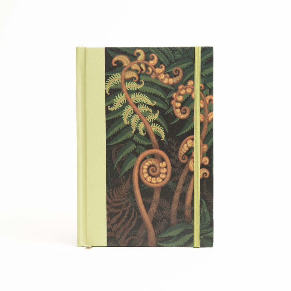 Eileen Mayo: Springing Fern - Lined Journal