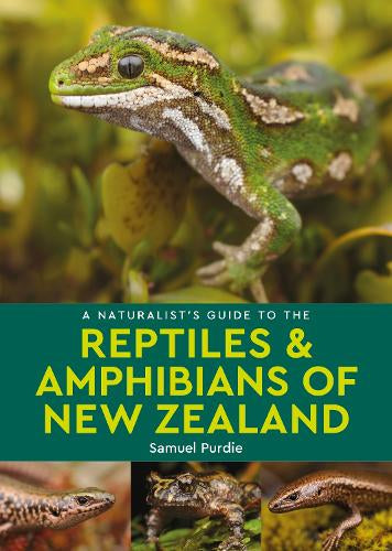 A Naturalist's Guide to the Reptiles & Amphibians of NZ