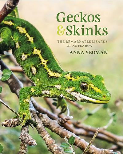 Geckos & Skinks: The Remarkable Lizards of Aotearoa