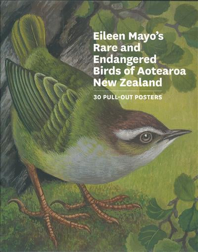 Eileen Mayo's Rare and Endangered Birds of Aotearoa New Zealand: 30 Pull-Out Posters