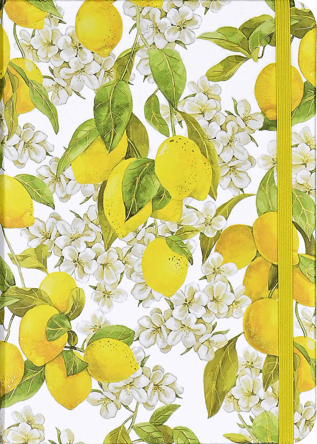 Amalfi Lemons - A5 Hardcover Notebook - The Page and Prose Booksellers