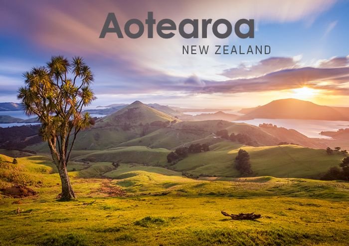 Aotearoa, New Zealand - The Page and Prose Booksellers
