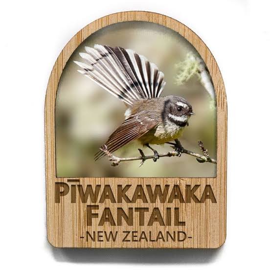 Arch Magnet: Piwakawaka, Fantail - The Page and Prose Booksellers