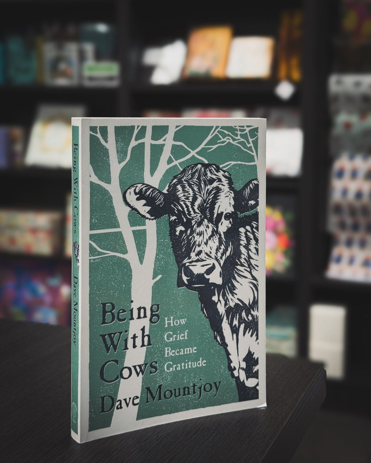 Being with Cows: How Grief Became Gratitude - The Page and Prose Booksellers