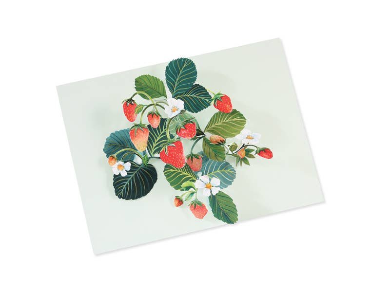 Card: Pop - Up Strawberries - The Page and Prose Booksellers