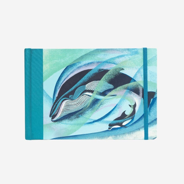 Eileen Mayo: Humpback and Bottlenose - Lined Journal - The Page and Prose Booksellers