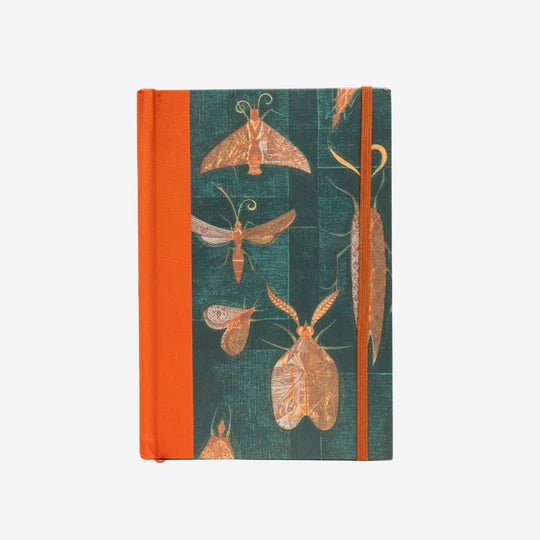 Eileen Mayo: Moths on the Window - Lined Journal - The Page and Prose Booksellers