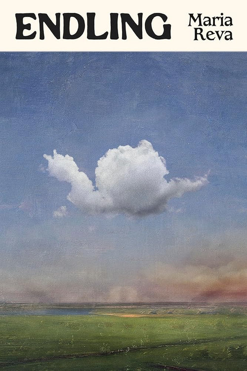 Endling: 'A fantastic novel' (Percival Everett, author of James) - The Page and Prose Booksellers