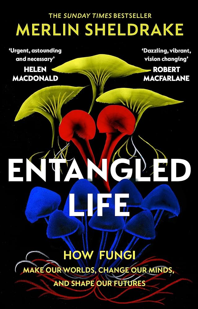 Entangled Life How Fungi Make Our Worlds (Paperback) /anglais - The Page and Prose Booksellers