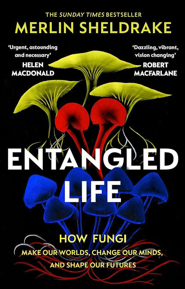Entangled Life How Fungi Make Our Worlds (Paperback) /anglais - The Page and Prose Booksellers