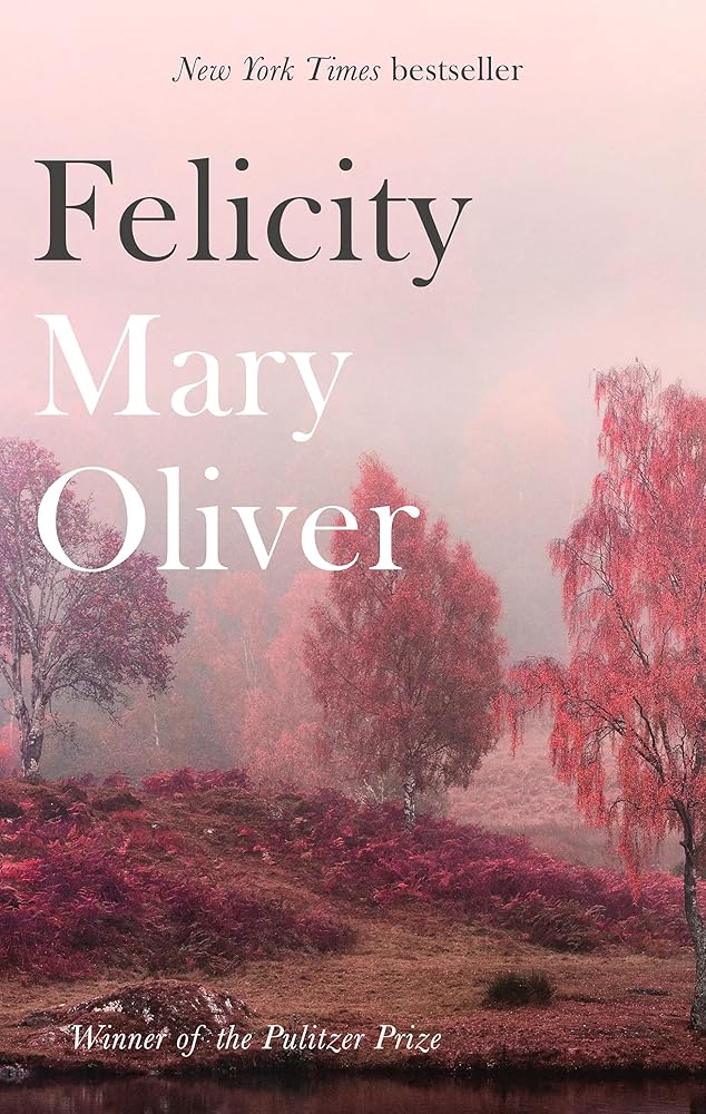 Felicity - The Page and Prose Booksellers