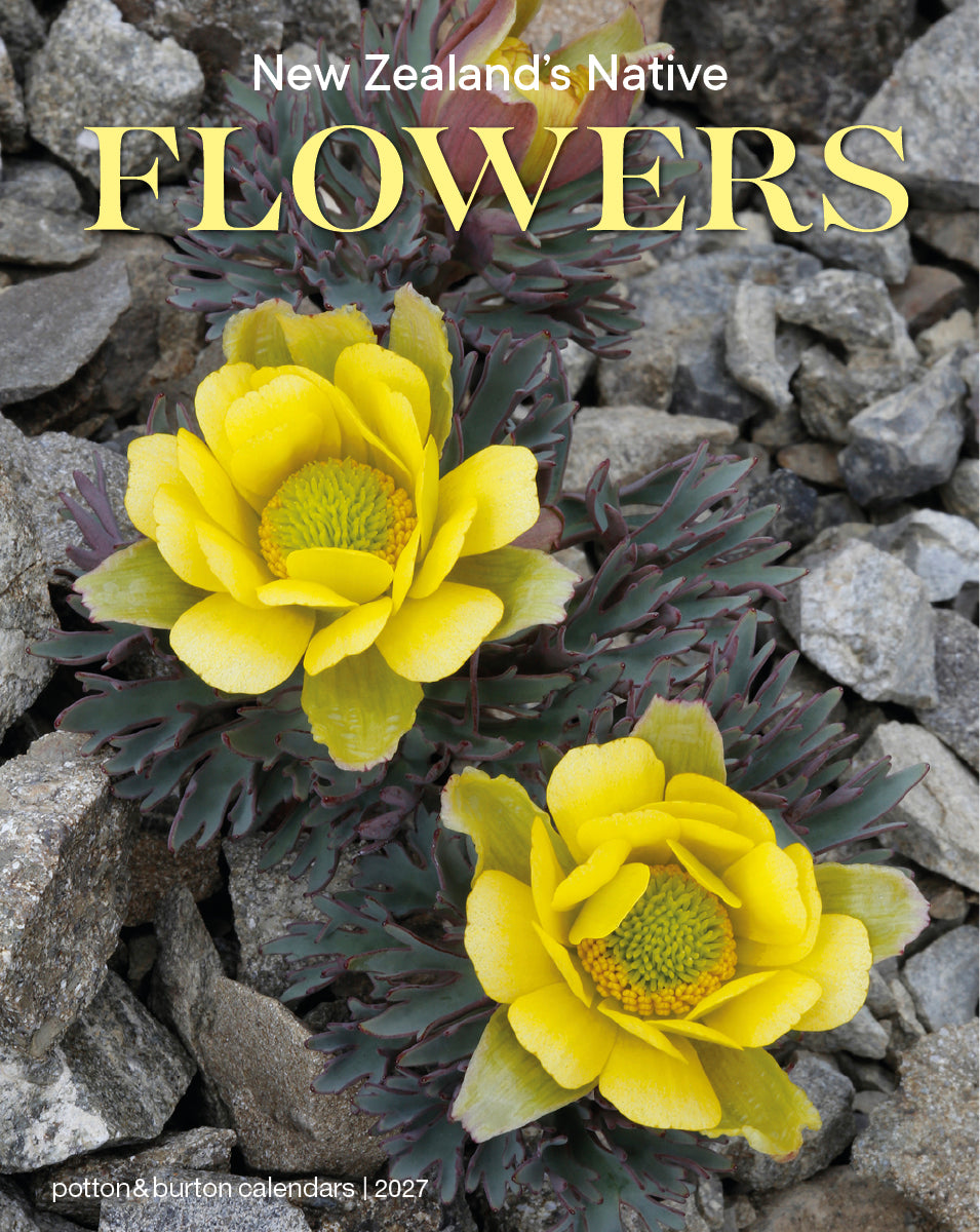 2027 NZ Flowers Small Calendar
