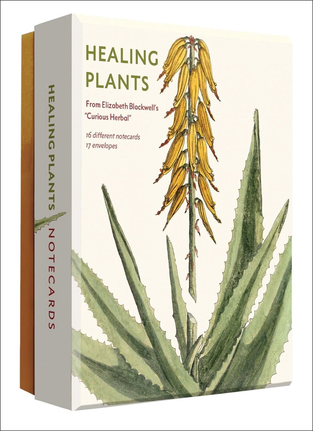Healing Plants - 16 Notecards with Envelopes - The Page and Prose Booksellers