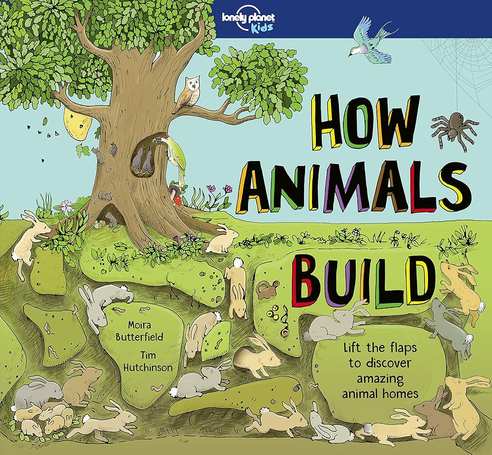 How Animals Build 1ed - anglais - The Page and Prose Booksellers