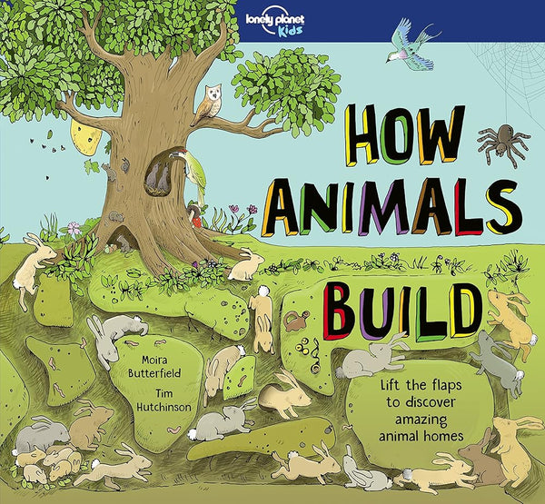 How Animals Build 1ed - anglais - The Page and Prose Booksellers