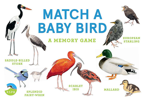 Match a Baby Bird: A Memory Game - The Page and Prose Booksellers