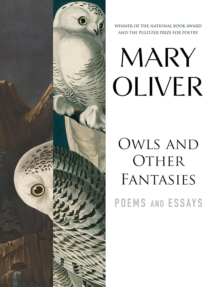 Owls and Other Fantasies: Poems and Essays - The Page and Prose Booksellers
