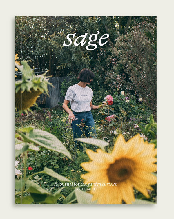 Sage (Vol. 1) - The Page and Prose Booksellers