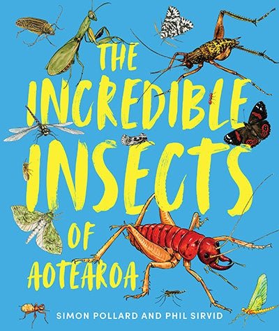The Incredible Insects of Aotearoa - The Page and Prose Booksellers