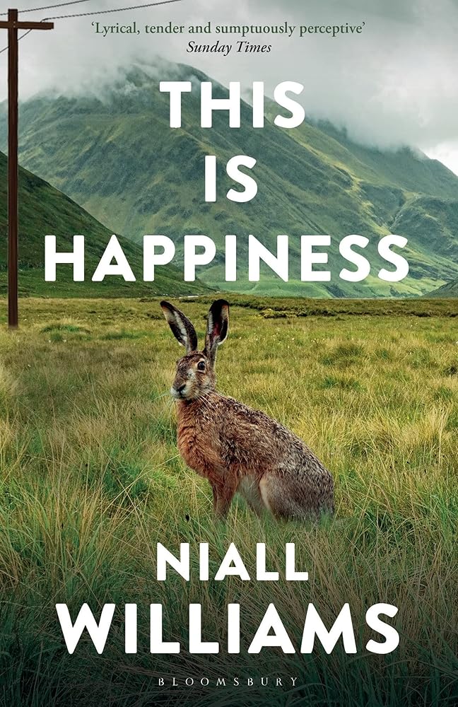 This Is Happiness - The Page and Prose Booksellers
