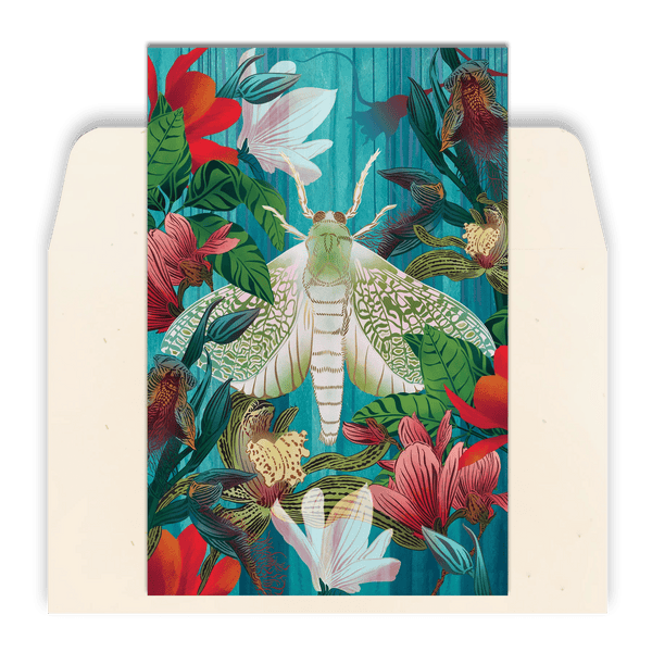 White Moth & Orchid Standard Greeting Card by Flox - The Page and Prose Booksellers